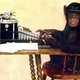 Image for article titled io9 Roundup: June 9, 2011